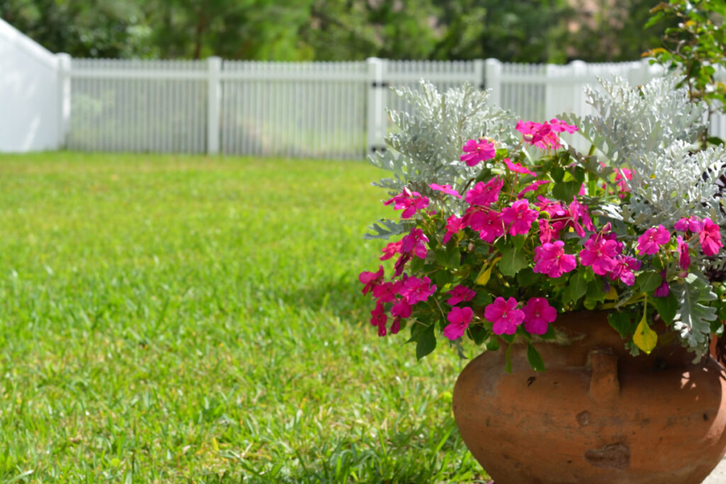 gardening flower pot with flowers in yard with a white gate in the distance